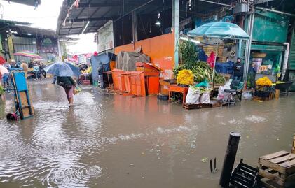 Clima México 24 de junio: Temporal de lluvias se intensifica en gran parte del país; alertan por precipitaciones intensas en 10 estados