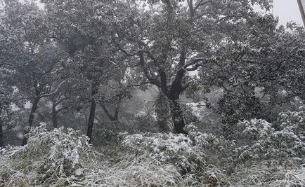 Prevén caída de nieve en estados del centro del país