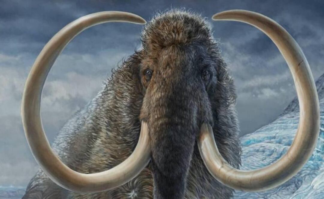 Recreación artística de un mamut lanudo adulto. Foto: James Havens