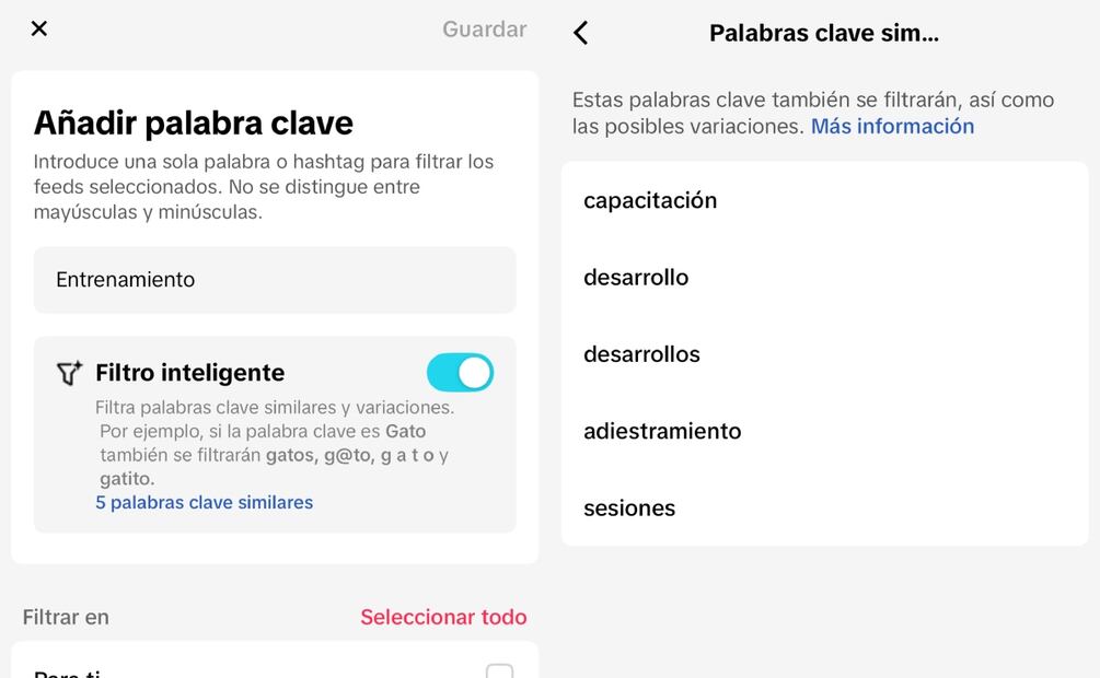 TikTok lanza nuevas funciones para personalizar el “Para Ti”. Imagen: TikTok