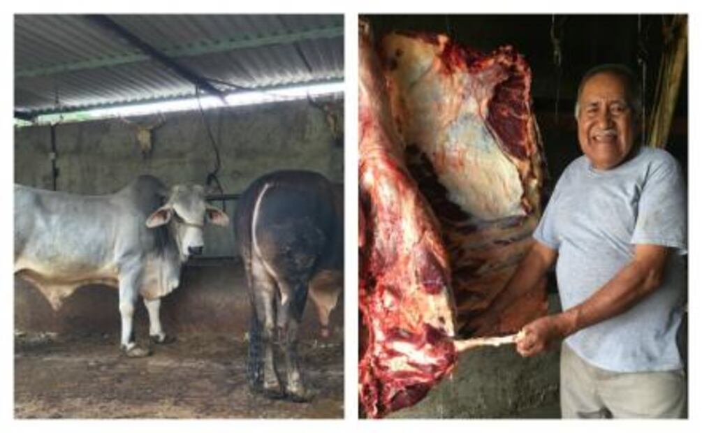 Barbacoa en Zaachila