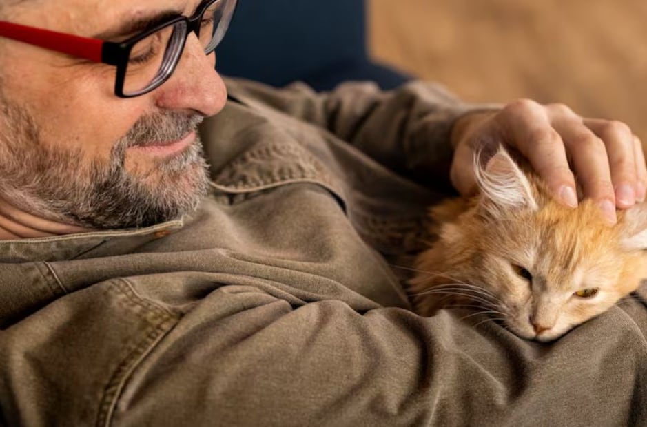 Conocer la conducta de tu gato es importante. Foto: Freepik