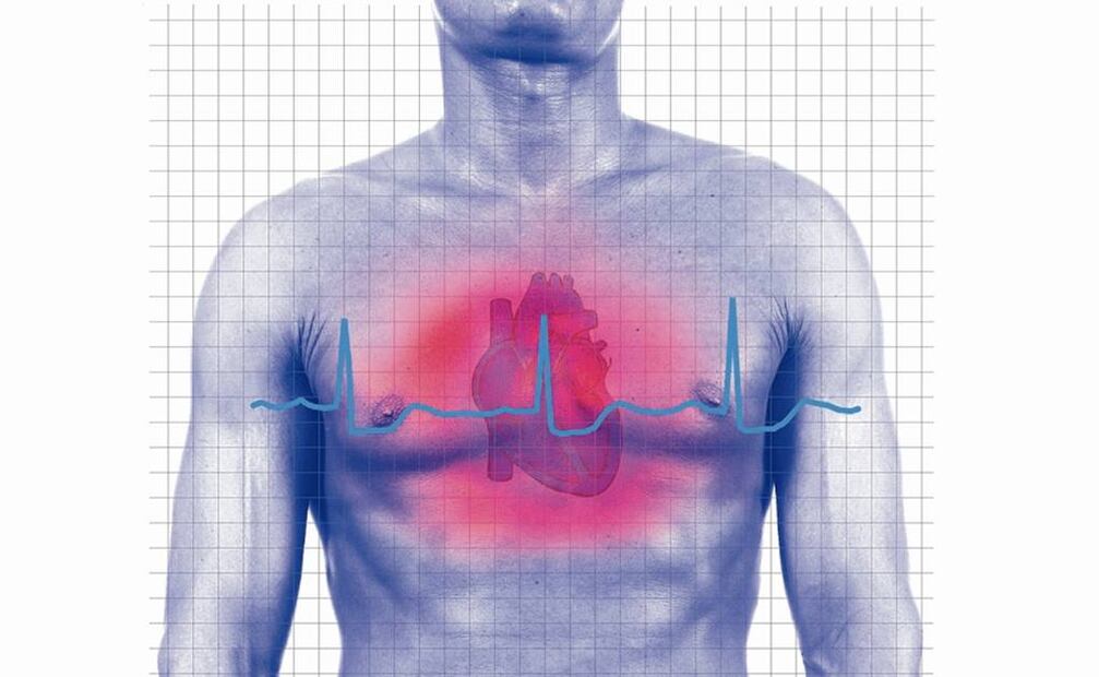 45% de las células musculares del corazón se renuevan a lo largo de la vida de un ser humano. Foto: Archivo