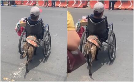 Perrito empuja la silla de ruedas de su dueño para cruzar la calle en Edomex