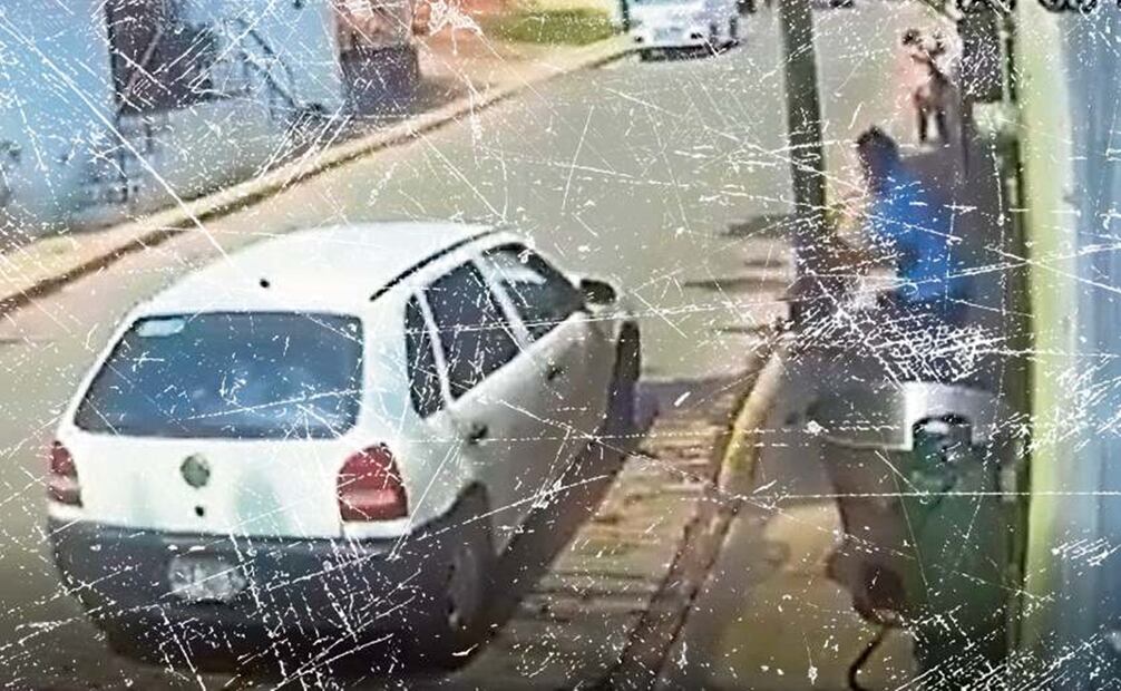 Caso Scooby: ¿Qué detona conductas violentas de una persona hacia animales o humanos?