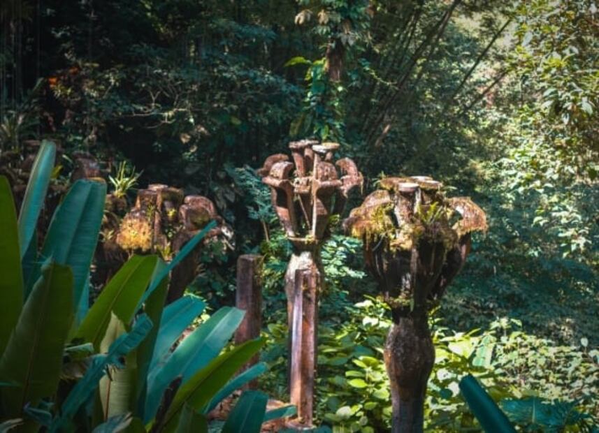 El tour secreto del jardín surrealista de Edward James en Xilitla