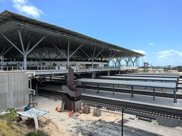Advierten que daños ambientales del Tren Maya se extiendan hasta 2050; peritaje señala que medidas de mitigación son “ineficaces"