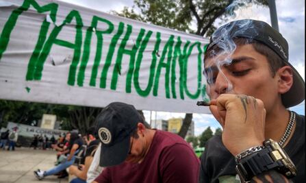 FOTOS: Así son los nuevos sitios para consumo lúdico de marihuana; hay reglas y horarios
