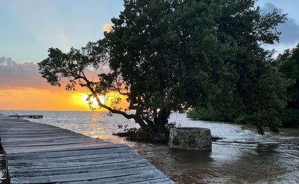 Gabriela y los sábalos de Xcalak