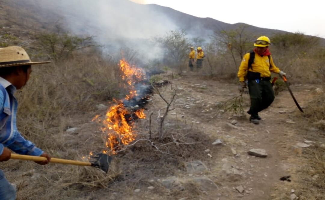 Las conflagraciones requieren la atención conjunta de las fuerzas de tarea para su rápido control y liquidación. Foto: Especial