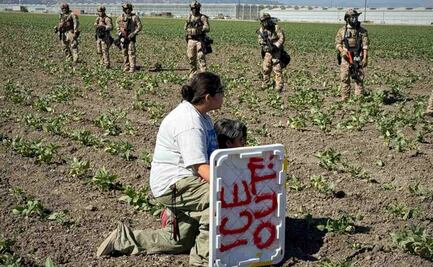 Operación en granja de cannabis en California supone la mayor redada migratoria; hay 361 detenidos 