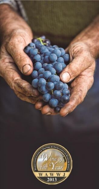 ¿Sabías que Trapiche es una de las bodegas más admiradas de Argentina?