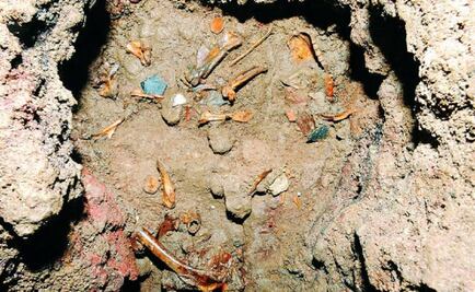 Aztecs may have kept golden eagles in captivity