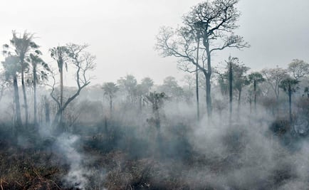 Brasil rechaza la ayuda de 20 millones de dólares ofrecida por el G7 para combatir incendios