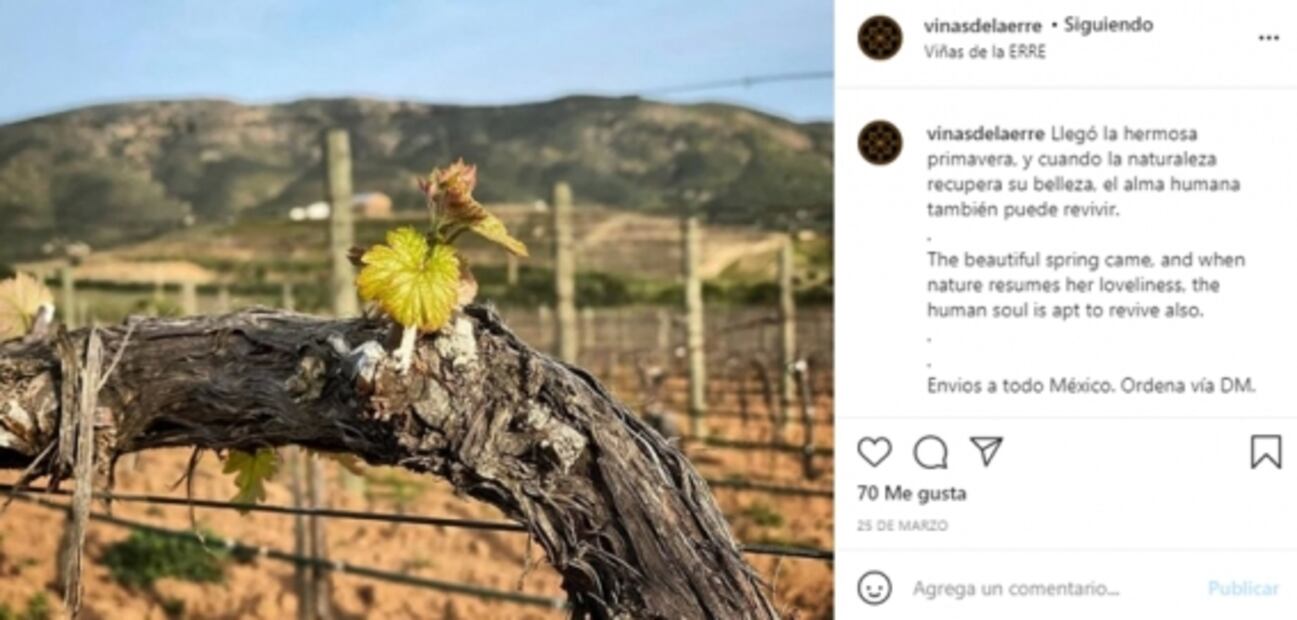 El tinto más premiado en la Guía Universal de Vinos Mexicanos 2020