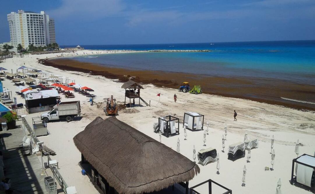 El sargazo se acumula en las playas de Cancún ocasionando incomodidad a los turistas (Foto: Adriana Varillas)