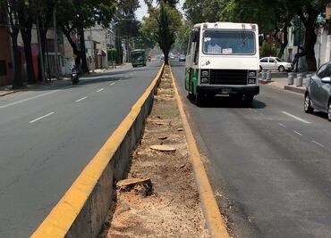 Talan árboles en Misterios por L7 del Metrobús