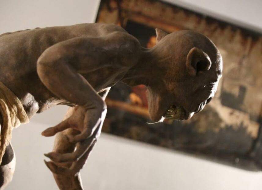 Cómo es la nueva exposición Vampiros: mitos y realidades