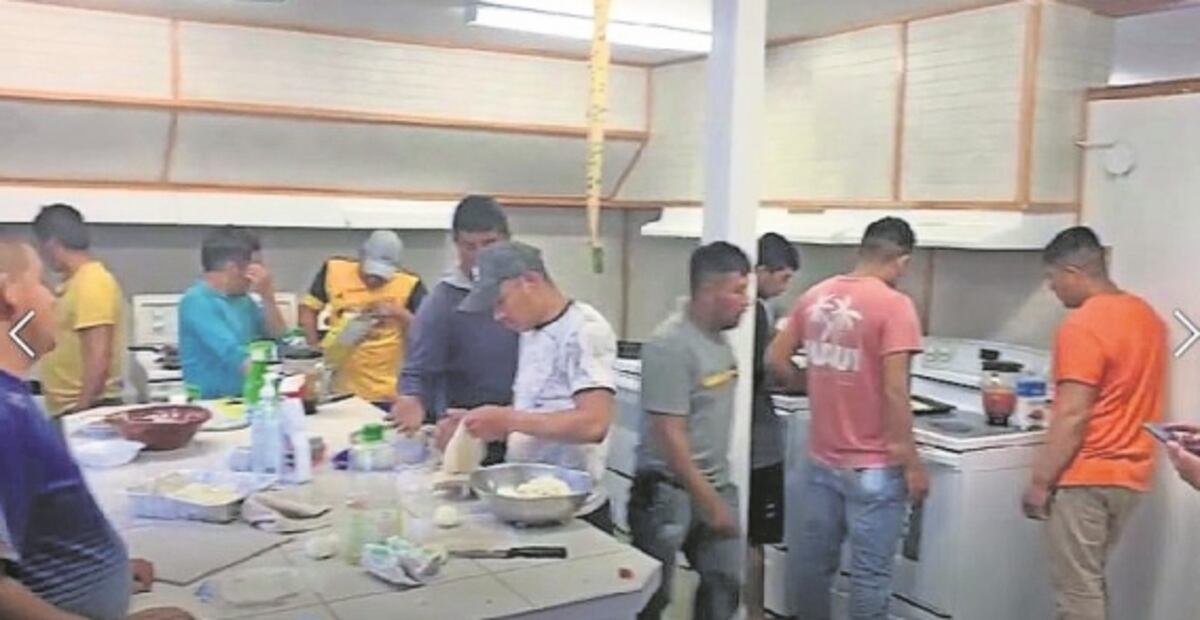 Jornaleros mexicanos viven malos tratos en granjas de Canadá