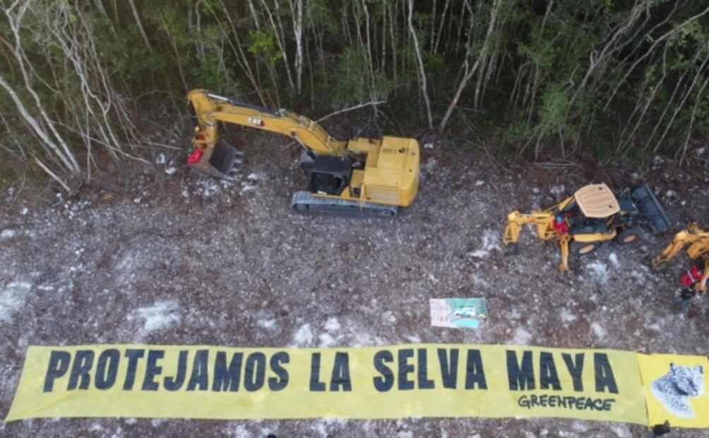 Nuevo trazo del Tren Maya pasa por caverna “Avispa enfadada”, descubierta desde el 2016