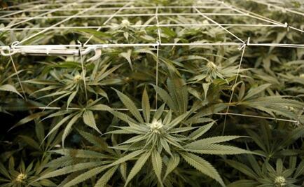 Europe resists to change the strategy