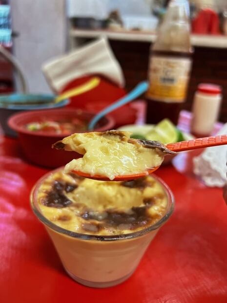 Birria y tortillas hechas a mano, aquí las encuentras 