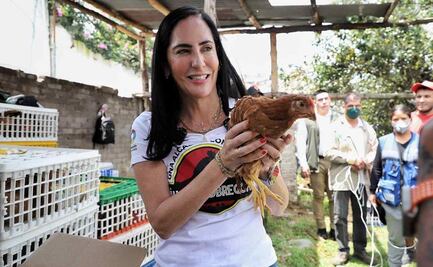 Lía Limón entrega mil 800 gallinas de postura a familias de Álvaro Obregón