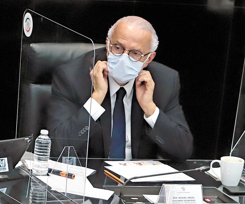 El PVEM asegura que Navarro cumple con el perfil político. ARCHIVO EL UNIVERSAL