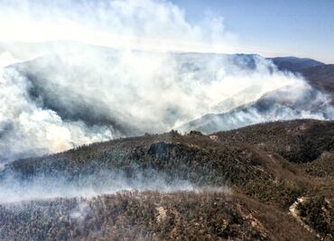 Incendio devora 300 hectáreas de encino en la sierra de Santa Rosa de Lima, Guanajuato