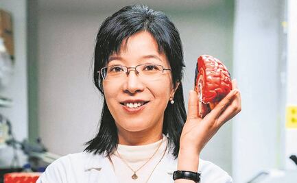 Hailan Hu, la científica que estudia cómo tratar mejor la depresión