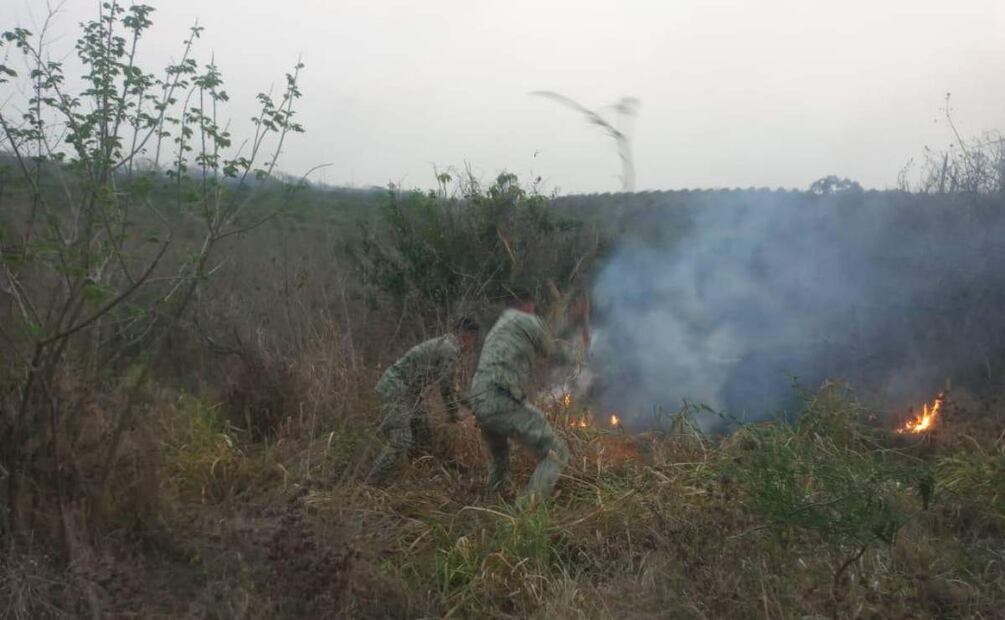 Ejército y Protección Civil sofocan los incendios forestales en Veracruz (22/05/2025). Foto: Especial