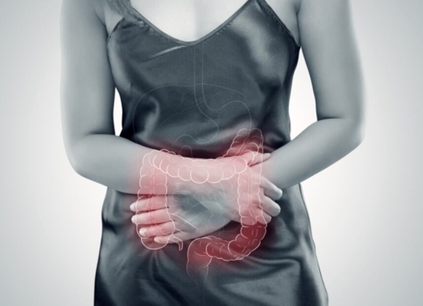 Tomar una infusión de cuachalalate y chupandilla podría aliviar tu colitis, asegura estudio del IPN y la UNAM  