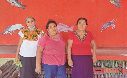 Pescadoras; guardianas y rescatadoras del manglar en Oaxaca