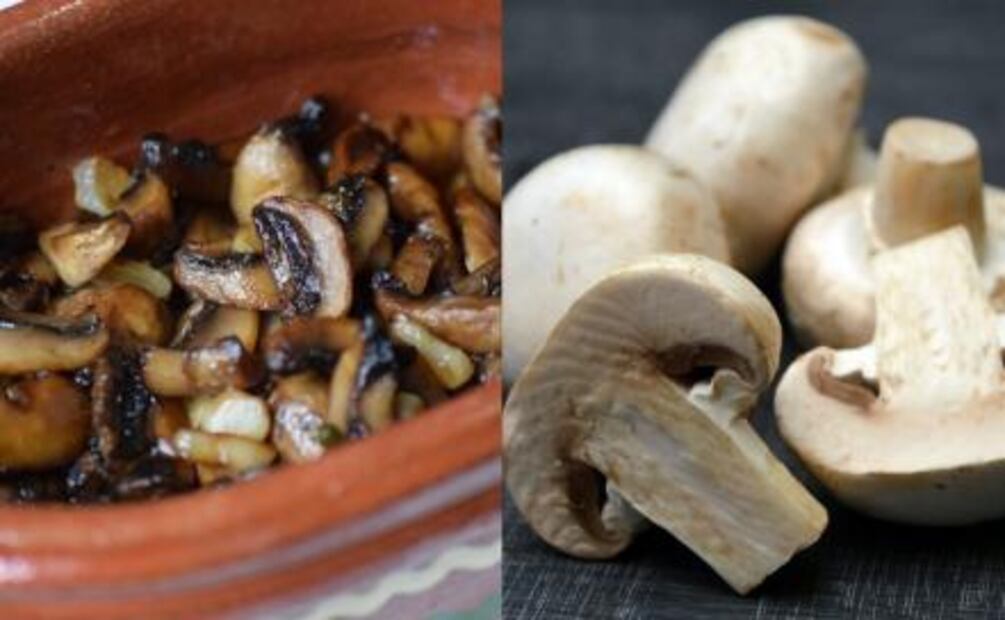 Hongos comestibles y cómo prepararlos