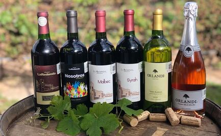 Maridaje de platillos mexicanos con vino 