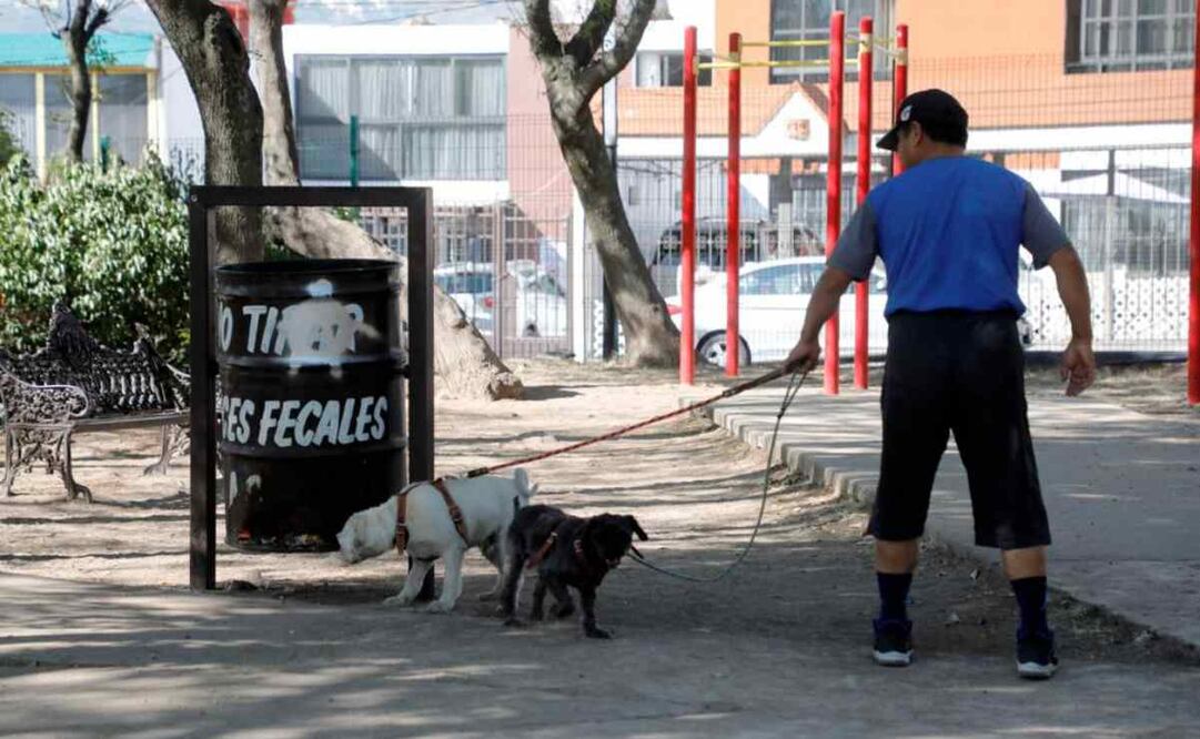 Parque para perros Naucalpan. Foto: Especial
