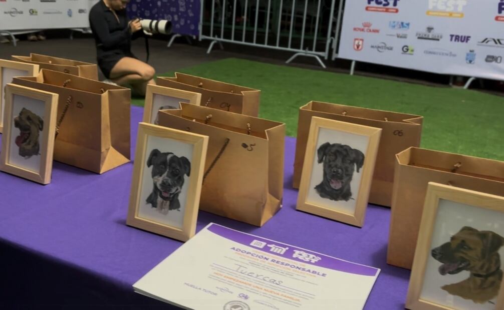 Adoptan a 11 perritos del Centro de Transferencia Canina del Metro. Foto: especial