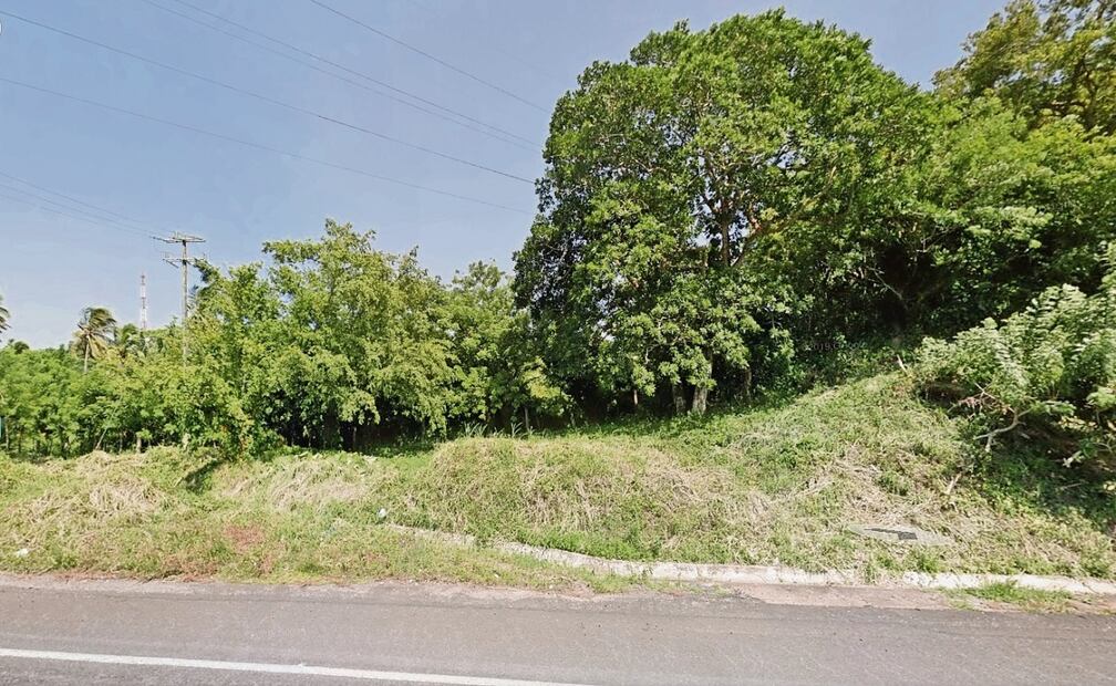 Imágenes de Google Maps: En agosto, el terreno estaba cubierto por árboles  frondosos y arbustos. Foto: Google Maps
