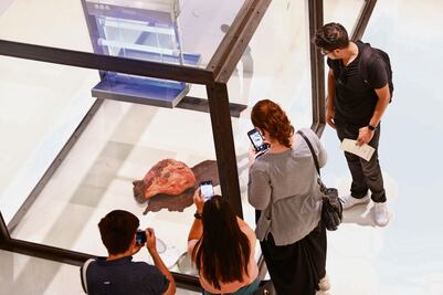 Damien Hirst presenta su macabra instalación con una cabeza de vaca en descomposición