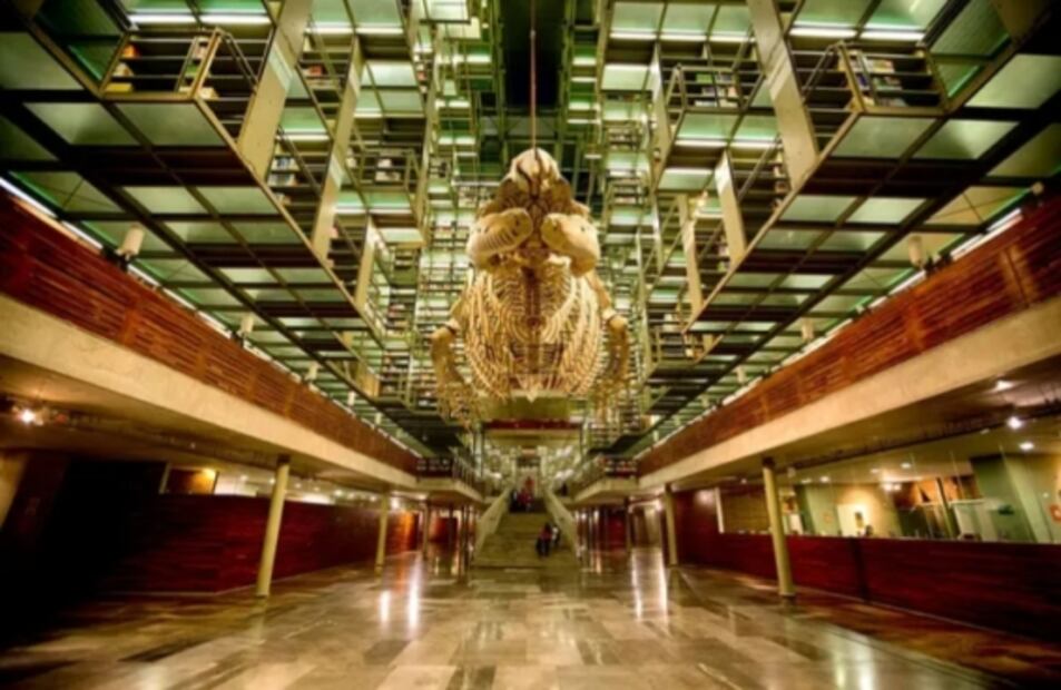 Lugares gratis para visitar en la CDMX en enero 2023