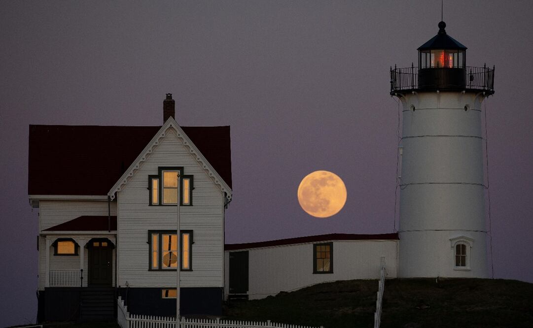 Foto: EFE/EPA/CJ GUNTHER, archivo