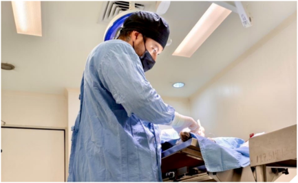 “Esta profesión es la número 1 en suicidios”