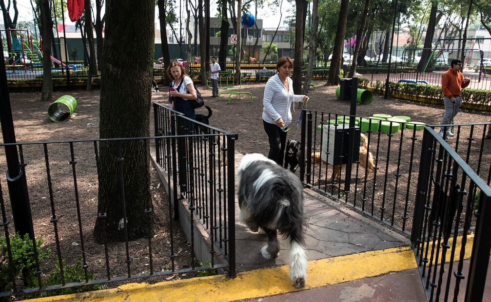 El parque cerró sus puertas desde pasado 2 de julio. Foto: Ilustrativa
