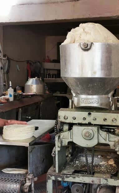 Máquina para hacer tortillas