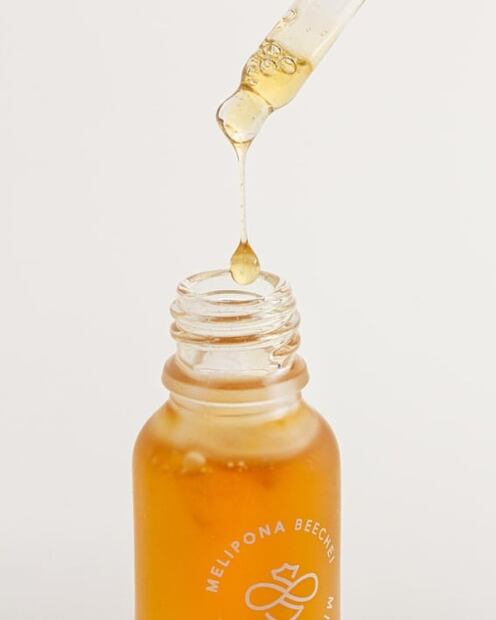 Descubre los beneficios de la miel melipona