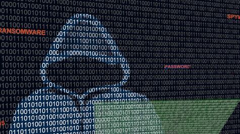 Qué se sabe de Guacamaya, el cibergrupo que reveló los problemas de salud de AMLO