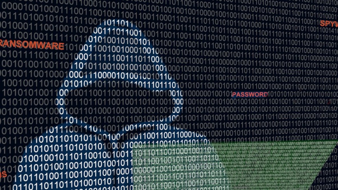 Qué se sabe de Guacamaya, el cibergrupo que reveló los problemas de salud de AMLO