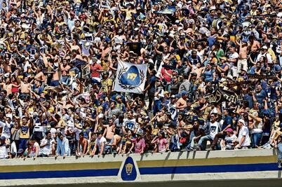 Mitos y realidades de la Rebel, la porra radical de los Pumas