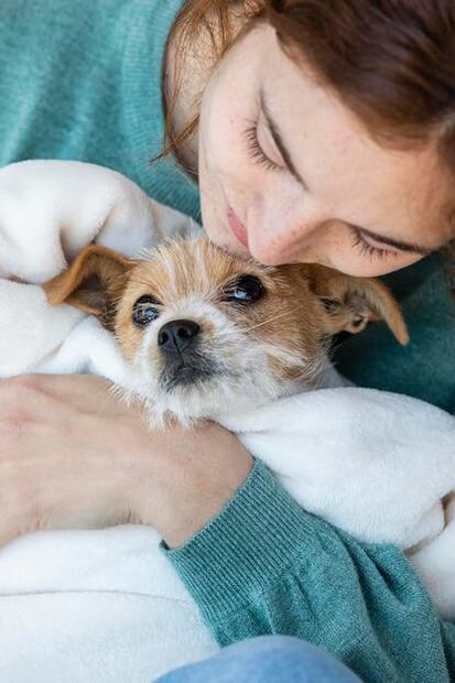 Los perros tienen sentidos muy desarrollados y pueden percibir amenazas en su entorno. Fuente: Freepik.