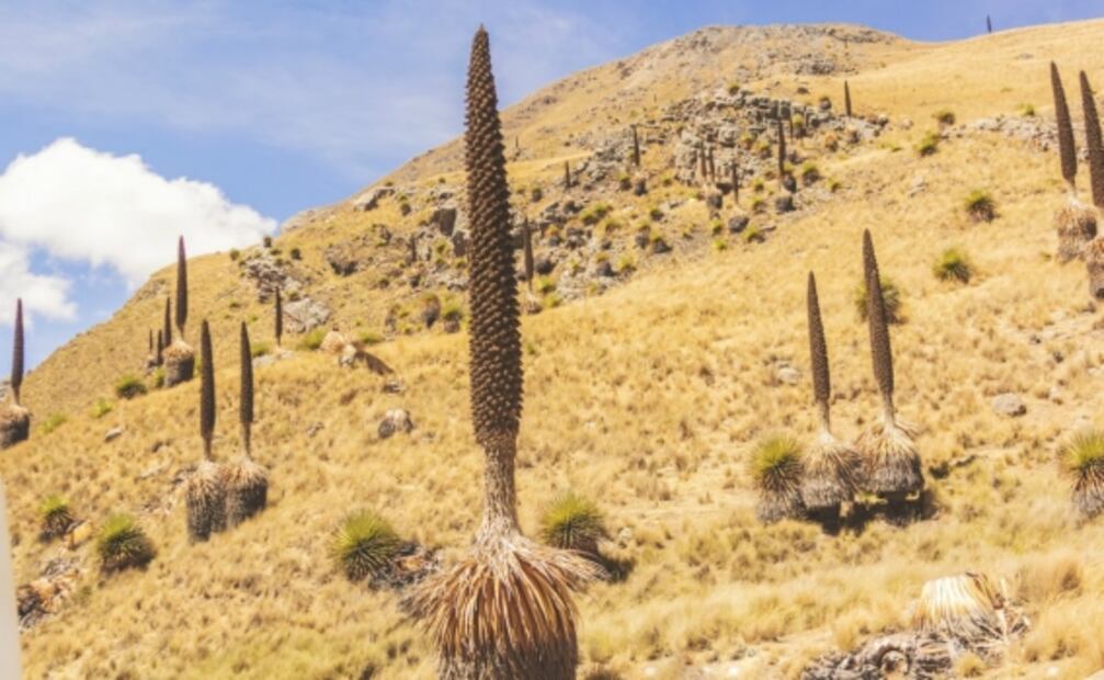 Perú crea Ruta del Cambio Climático donde el glaciar Pastoruri es la estrella